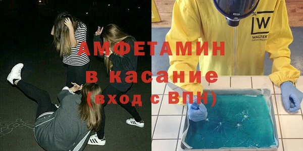 трава Наволоки