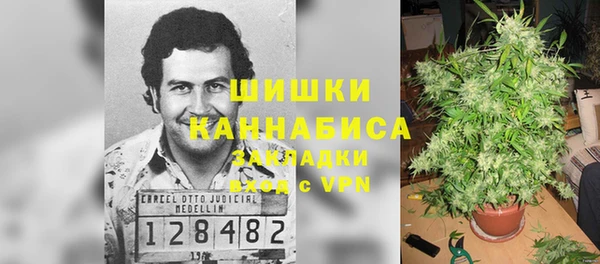 трава Наволоки