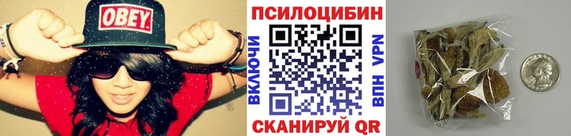 Псилоцибиновые грибы мицелий  Щёкино 